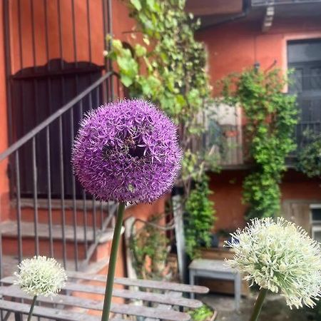 Come A Casa Castelletto sopra Ticino Zewnętrze zdjęcie