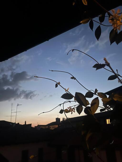 Come A Casa Castelletto sopra Ticino Zewnętrze zdjęcie