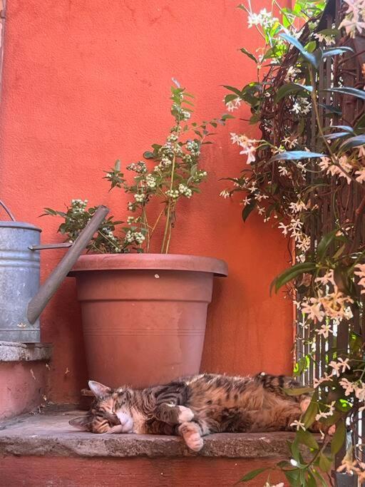 Come A Casa Castelletto sopra Ticino Zewnętrze zdjęcie