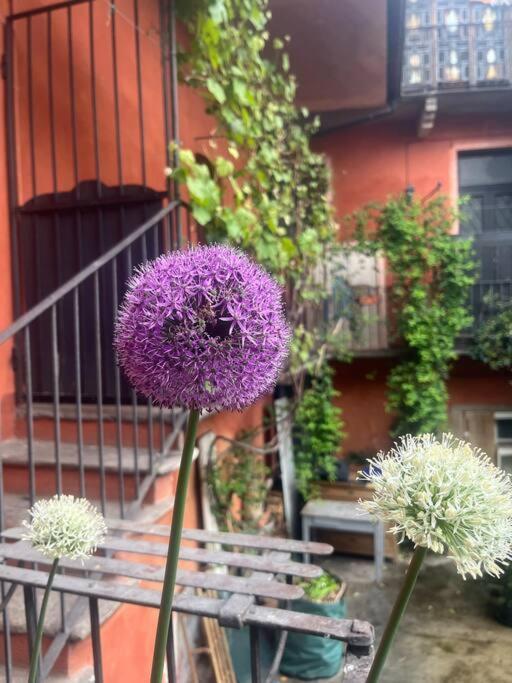 Come A Casa Castelletto sopra Ticino Zewnętrze zdjęcie
